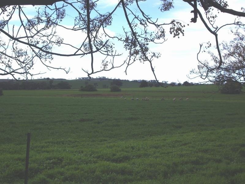 Wagga Wagga NSW 2650