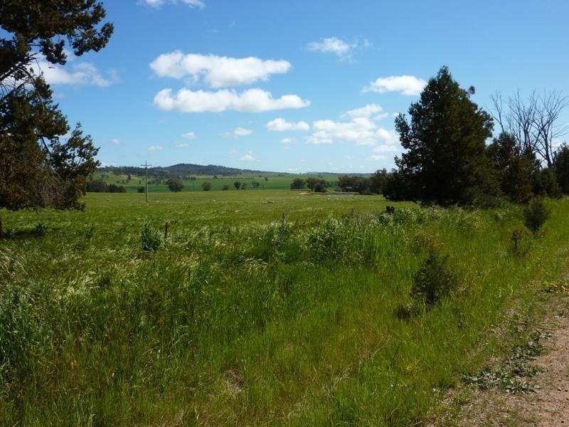 Wagga Wagga NSW 2650