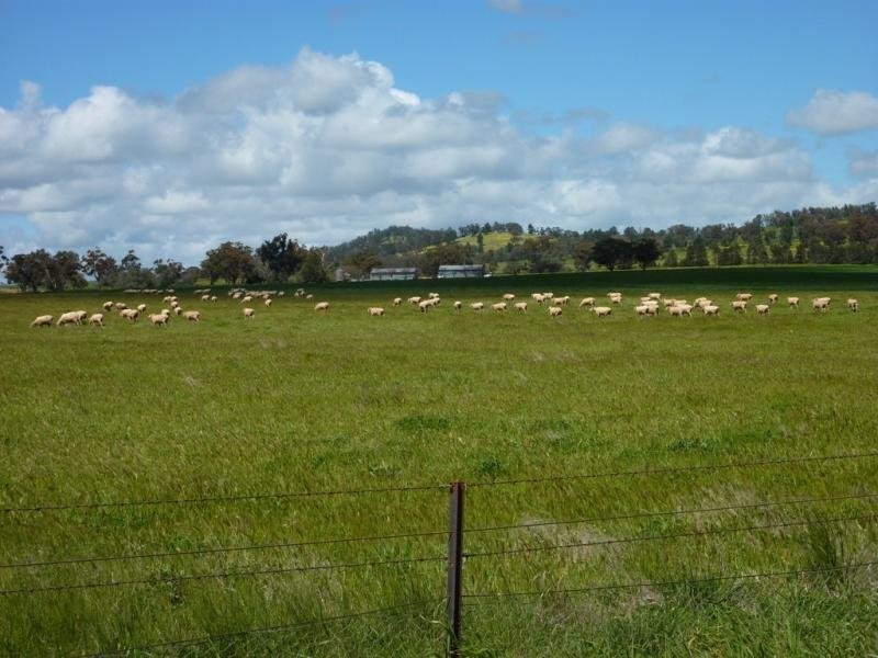 Wagga Wagga NSW 2650