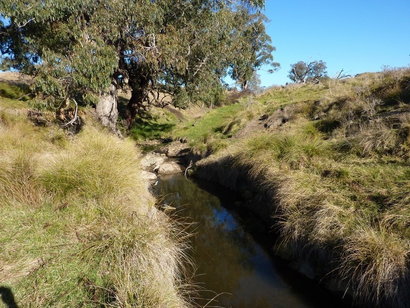 1 Shockeroo Road, Humula NSW 2652