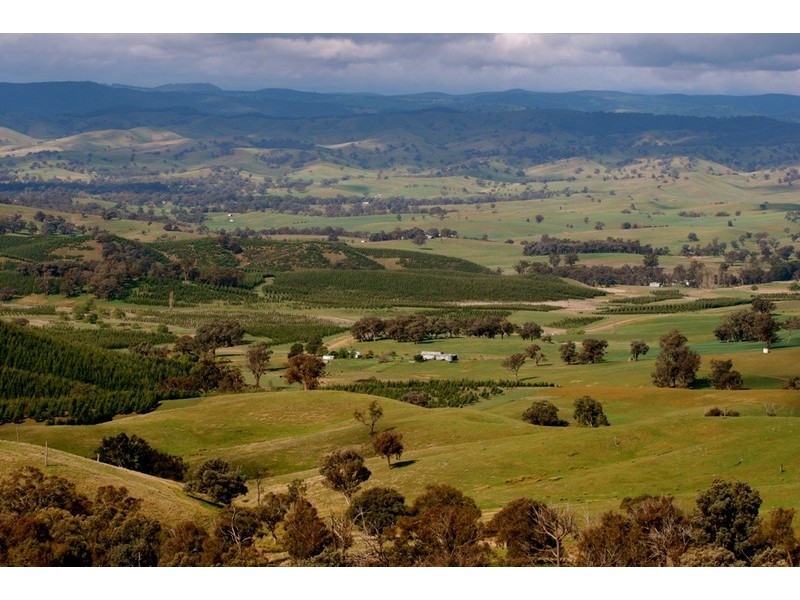 1 Shockeroo Road, Humula NSW 2652