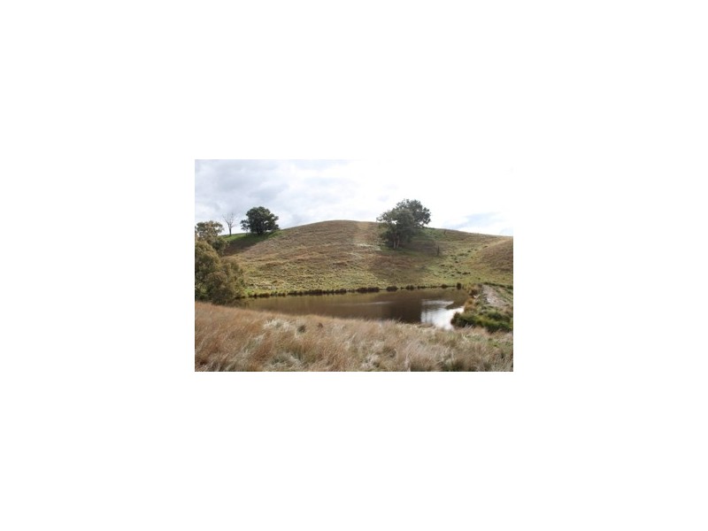 1 Shockeroo Road, Humula NSW 2652