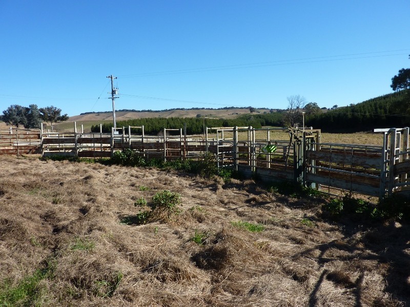 1 Shockeroo Road, Humula NSW 2652