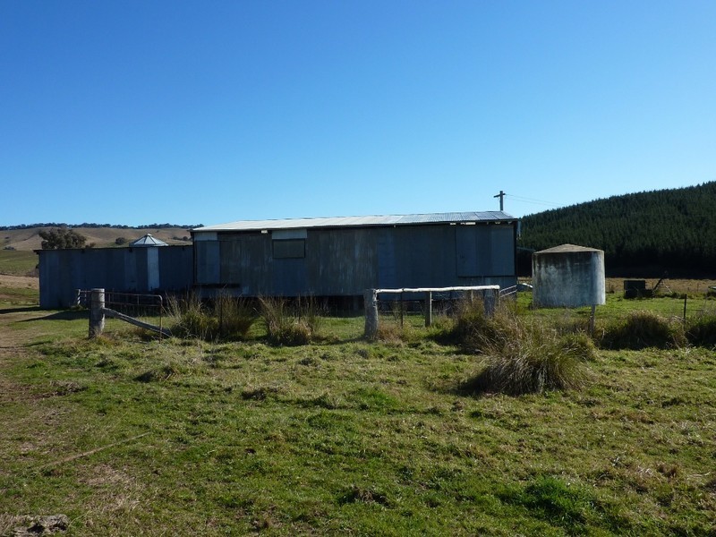 1 Shockeroo Road, Humula NSW 2652