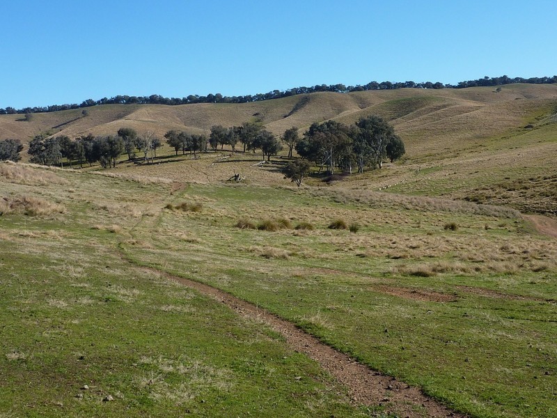 1 Shockeroo Road, Humula NSW 2652