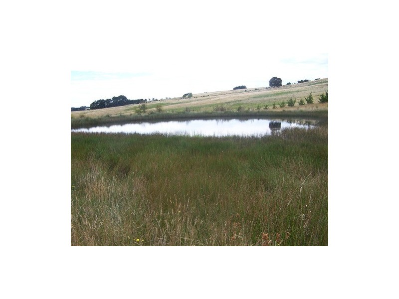 lot 11 Taralga Road, Laggan NSW 2583