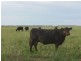Beemelon Road, Burraboi NSW 2732