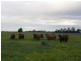 Beemelon Road, Burraboi NSW 2732