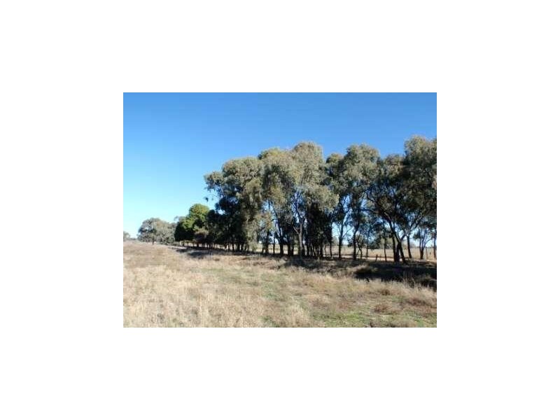Beemelon Road, Burraboi NSW 2732