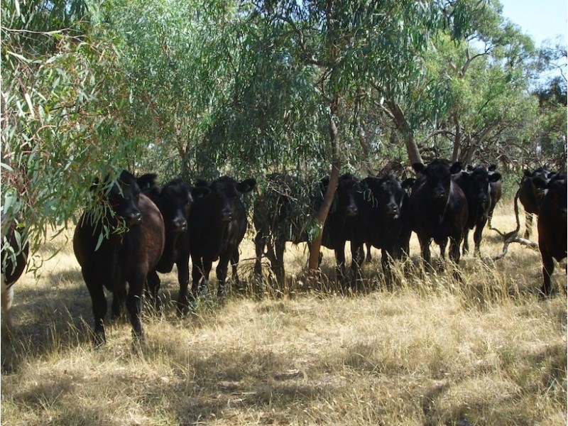 Beemelon Road, Burraboi NSW 2732