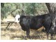 Beemelon Road, Burraboi NSW 2732