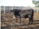 Beemelon Road, Burraboi NSW 2732