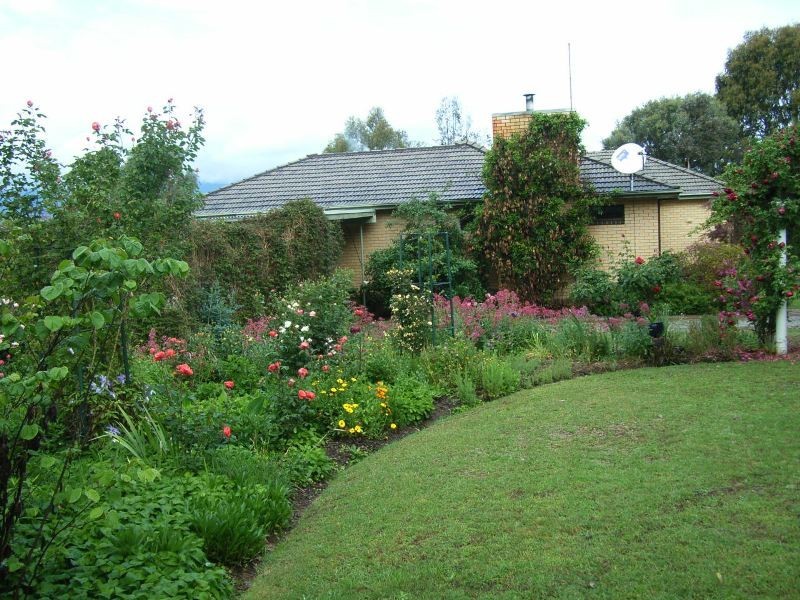 1377 Dederang-Yackandandah Road, Dederang VIC 3691