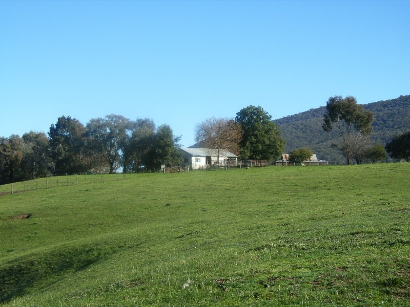 1377 Dederang-Yackandandah Road, Dederang VIC 3691