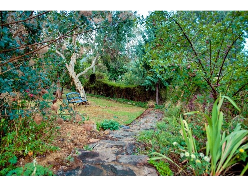 1377 Dederang-Yackandandah Road, Dederang VIC 3691