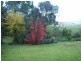 1377 Dederang-Yackandandah Road, Dederang VIC 3691