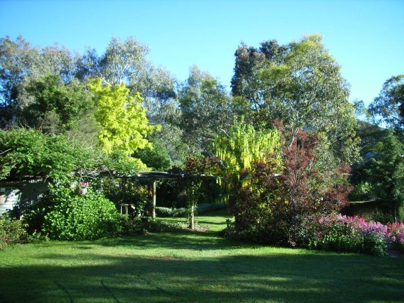 1377 Dederang-Yackandandah Road, Dederang VIC 3691