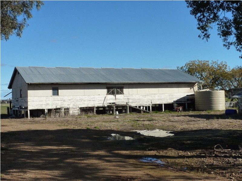 780 Burrandana Road, Mangoplah NSW 2652