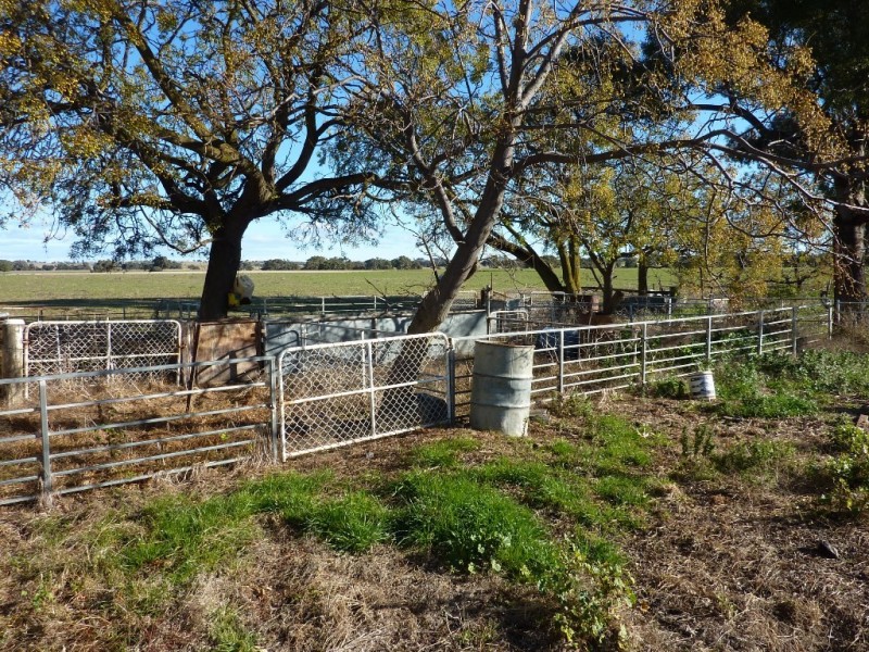 780 Burrandana Road, Mangoplah NSW 2652