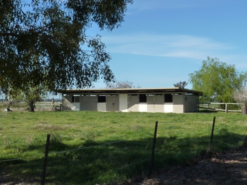 780 Burrandana Road, Mangoplah NSW 2652