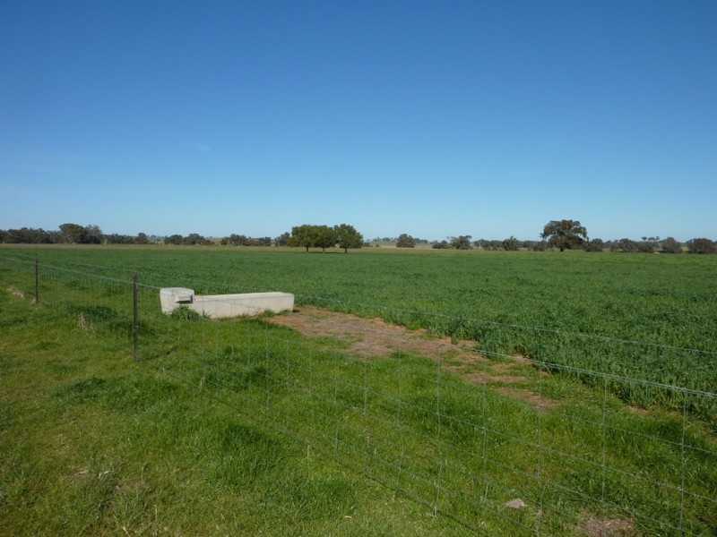 780 Burrandana Road, Mangoplah NSW 2652