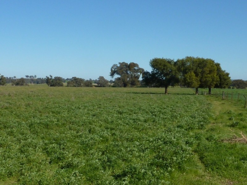 780 Burrandana Road, Mangoplah NSW 2652