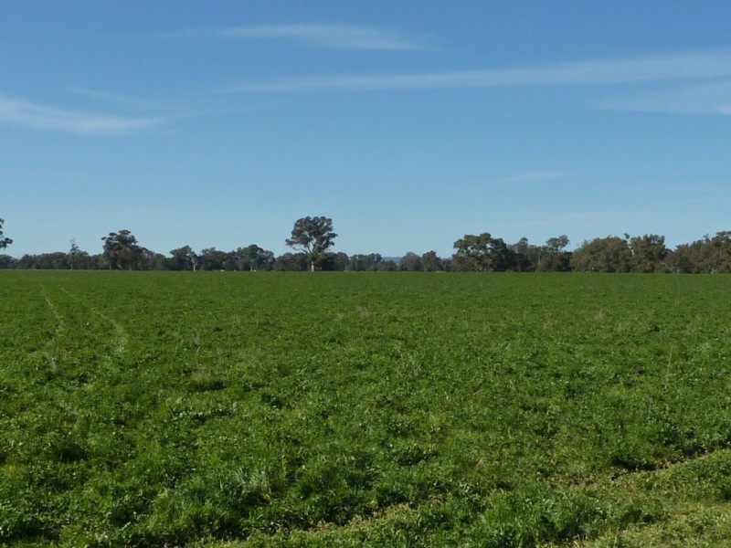 780 Burrandana Road, Mangoplah NSW 2652