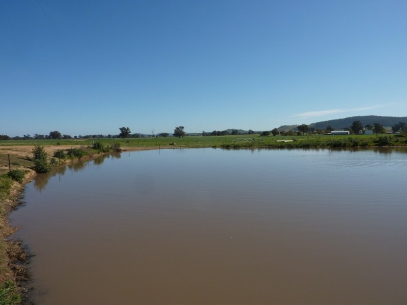 780 Burrandana Road, Mangoplah NSW 2652