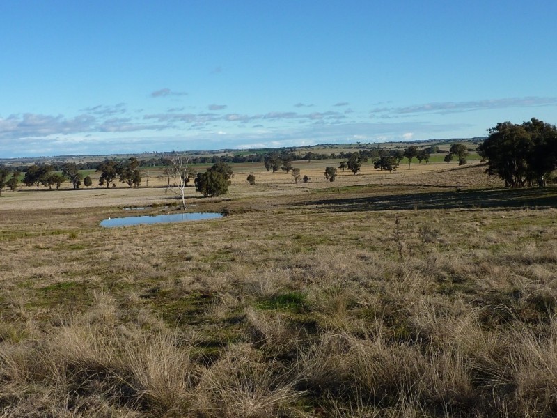 780  Burrandana Road, Mangoplah NSW 2652