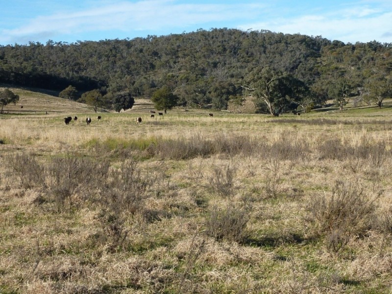 780  Burrandana Road, Mangoplah NSW 2652