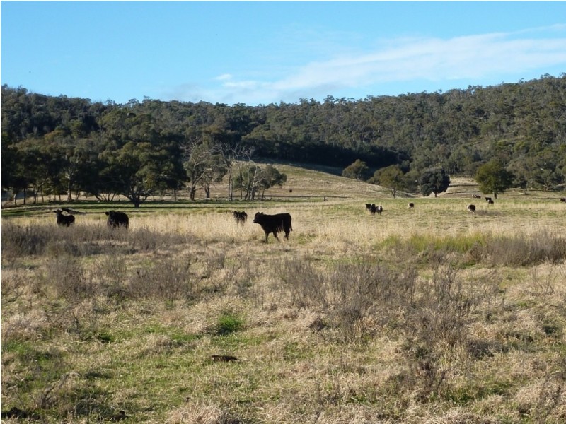 780  Burrandana Road, Mangoplah NSW 2652