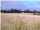 Lot 2 Glenellen Road, Jindera NSW 2642