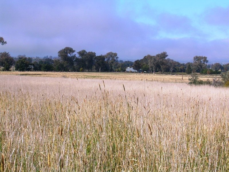 Lot 2 Glenellen Road, Jindera NSW 2642