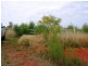 Lot 2 Glenellen Road, Jindera NSW 2642