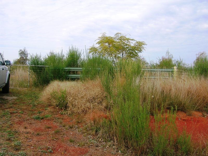 Lot 2 Glenellen Road, Jindera NSW 2642