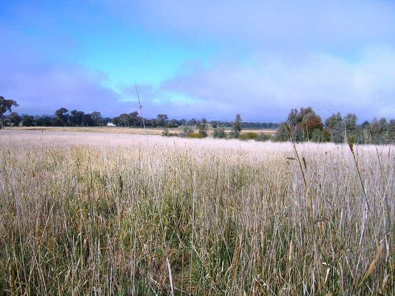 Lot 2 Glenellen Road, Jindera NSW 2642
