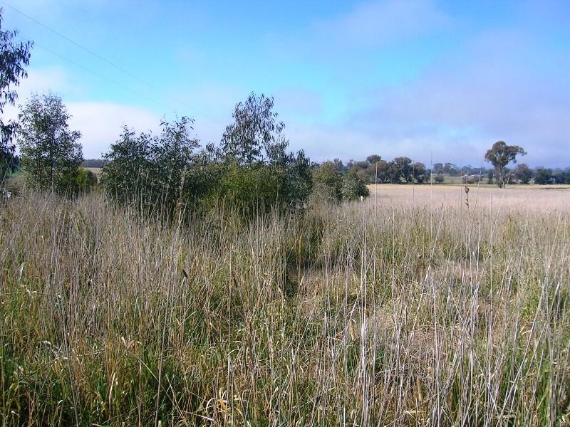 Lot 2 Glenellen Road, Jindera NSW 2642