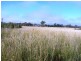 Lot 2 Glenellen Road, Jindera NSW 2642