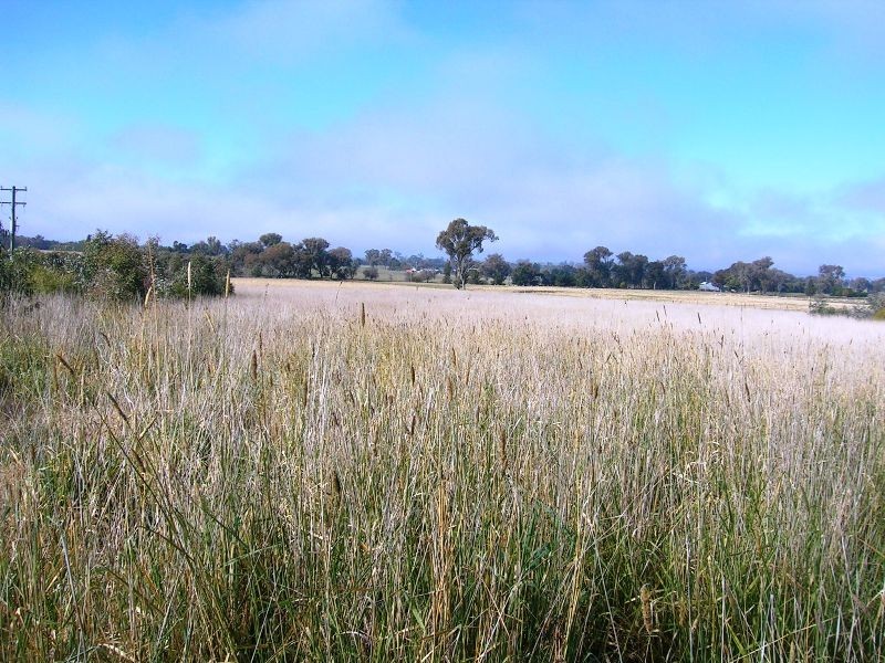 Lot 2 Glenellen Road, Jindera NSW 2642