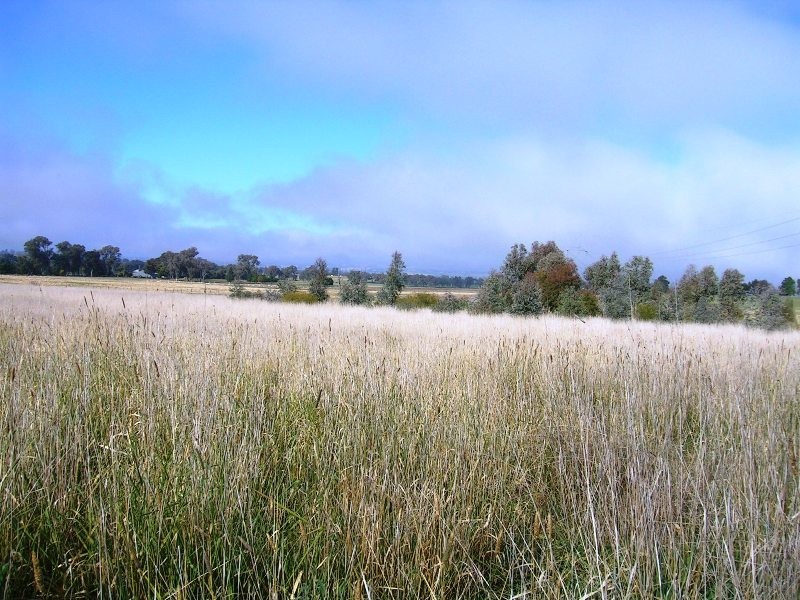 Lot 2 Glenellen Road, Jindera NSW 2642