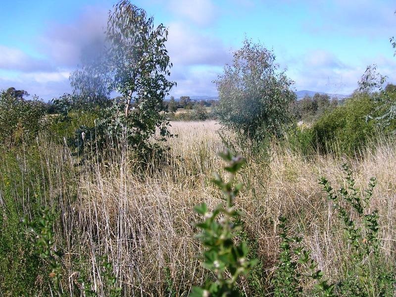 Lot 2 Glenellen Road, Jindera NSW 2642