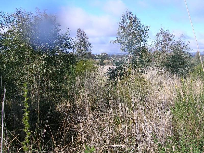 Lot 2 Glenellen Road, Jindera NSW 2642