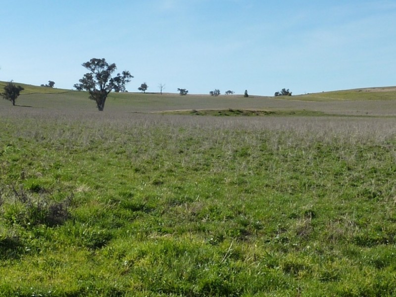 1900 Oura Road, Wagga Wagga NSW 2650