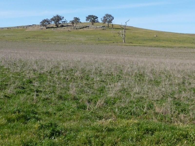 1900 Oura Road, Wagga Wagga NSW 2650