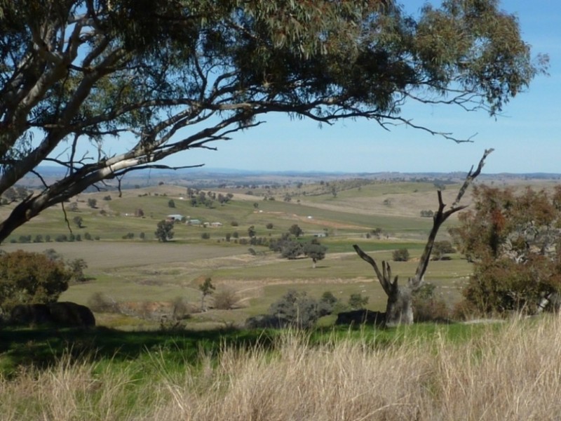 1900 Oura Road, Wagga Wagga NSW 2650