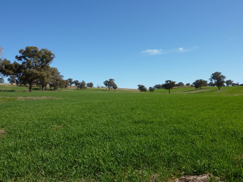 780 Sturt Highway, Borambola NSW 2650