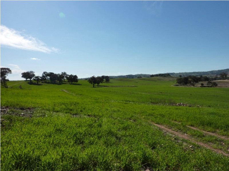 780 Sturt Highway, Borambola NSW 2650