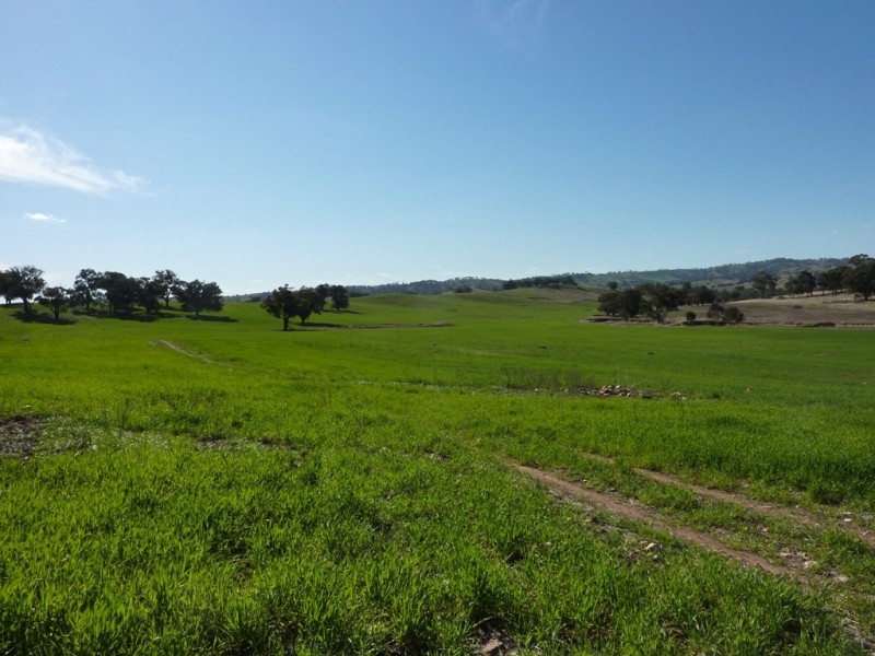 780 Sturt Highway, Borambola NSW 2650