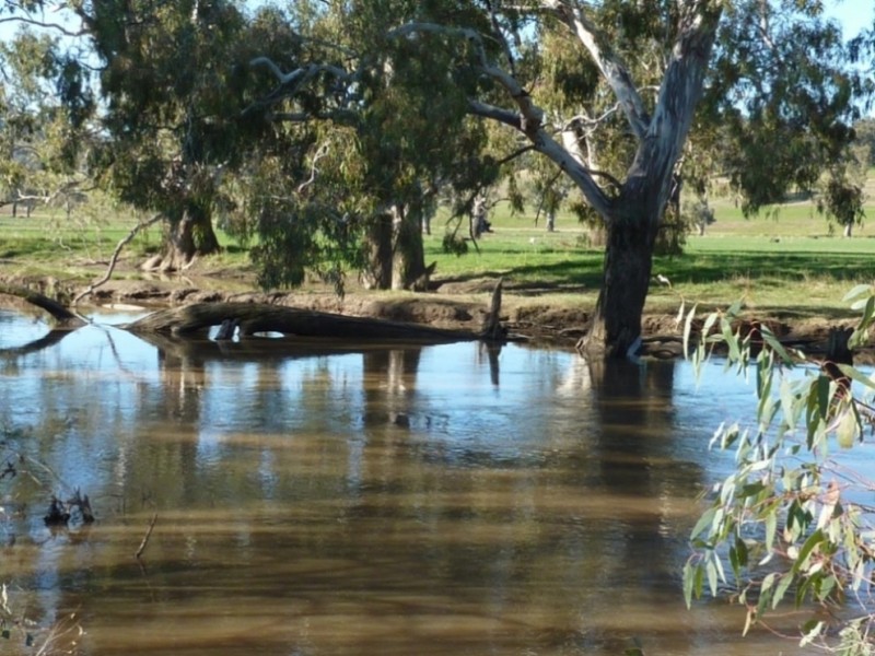 780 Sturt Highway, Borambola NSW 2650