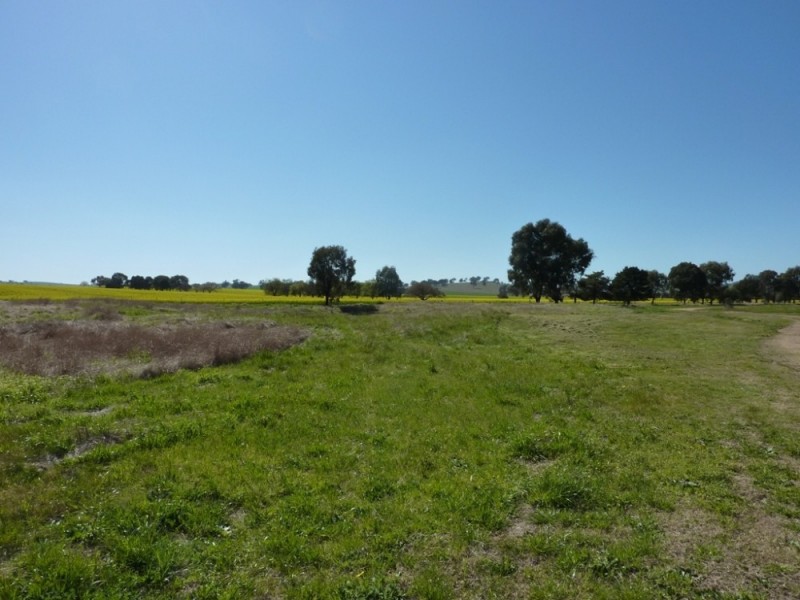 Lot 1 Shepherds Siding road, Wagga Wagga NSW 2650